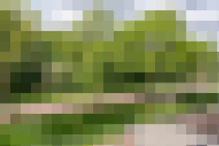 Stoholm 125 Hoofddorp thumbnail 16