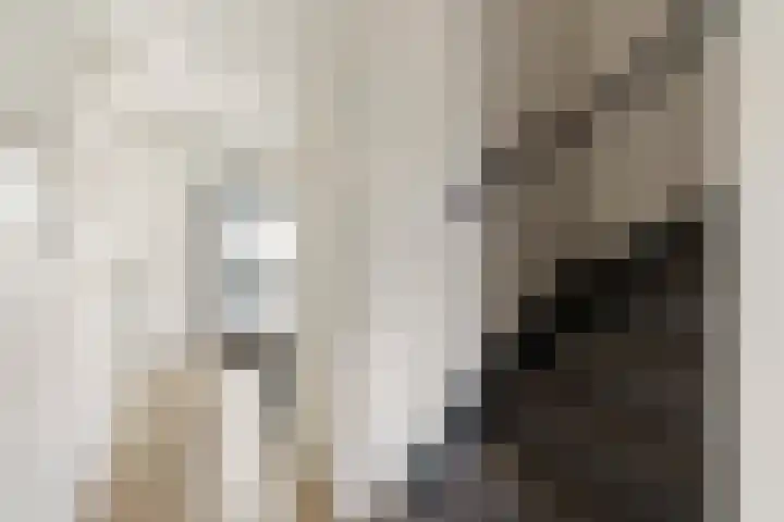 Stoholm 125 Hoofddorp thumbnail 17