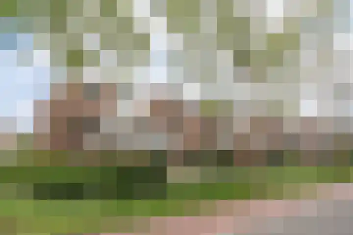 Stoholm 125 Hoofddorp thumbnail 33