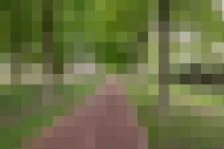 Stoholm 125 Hoofddorp thumbnail 35