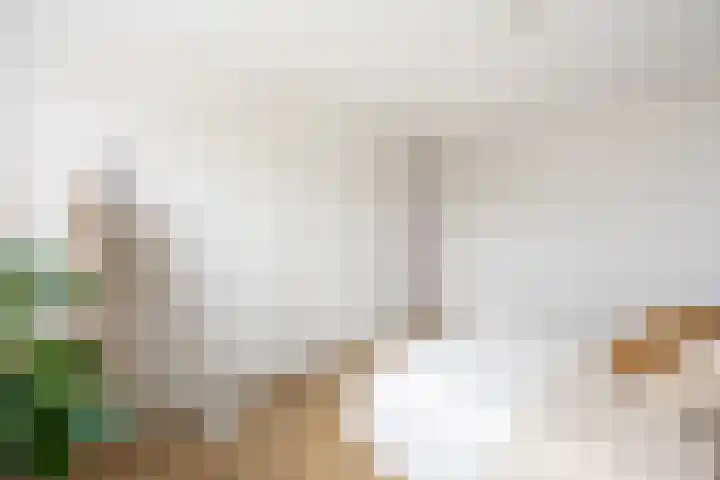 Stoholm 217 Hoofddorp thumbnail 28