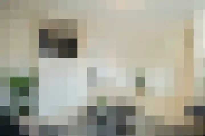 Stoholm 22 Hoofddorp thumbnail 8