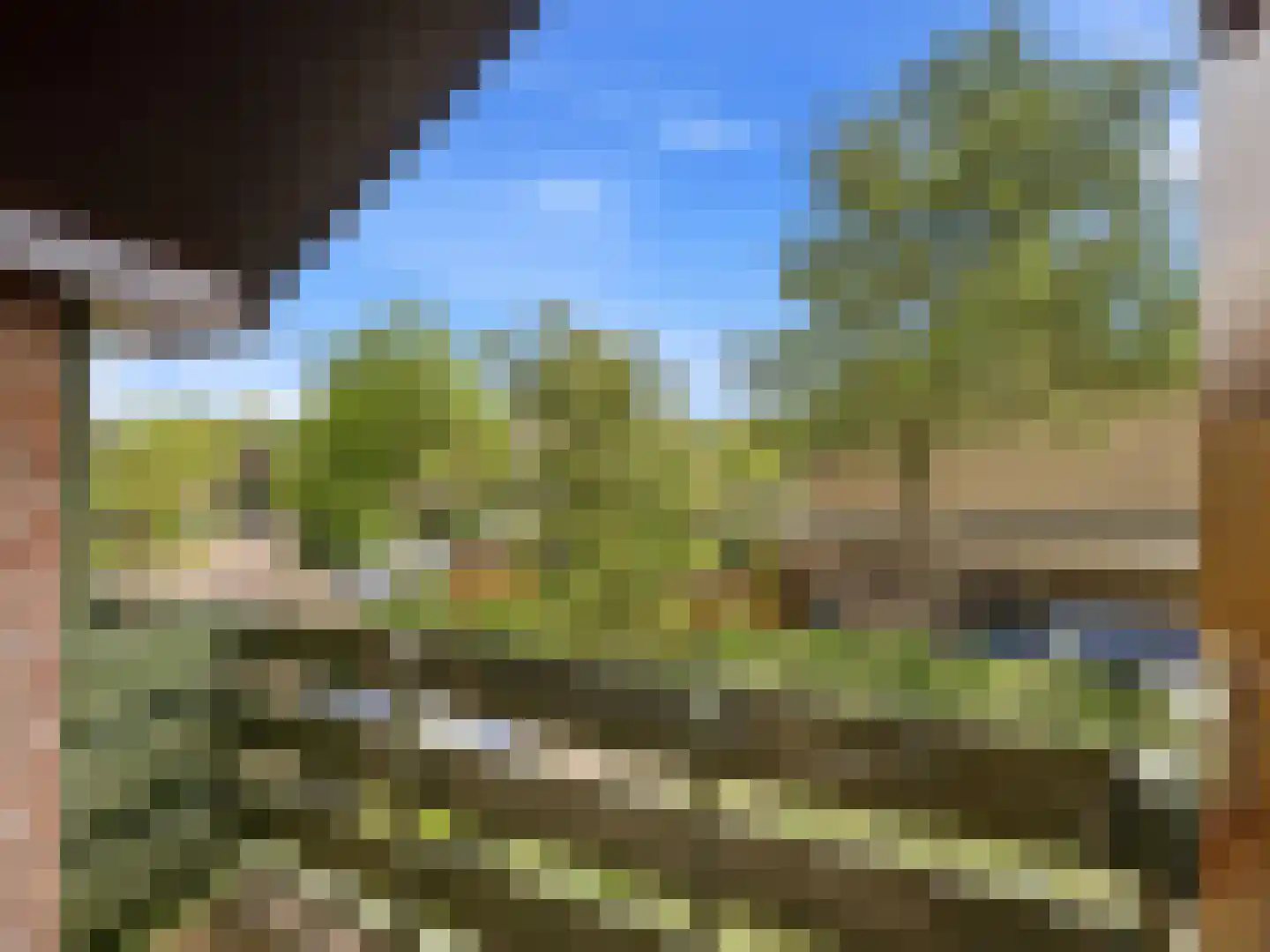 Stokebrand 361 Zutphen thumbnail 23