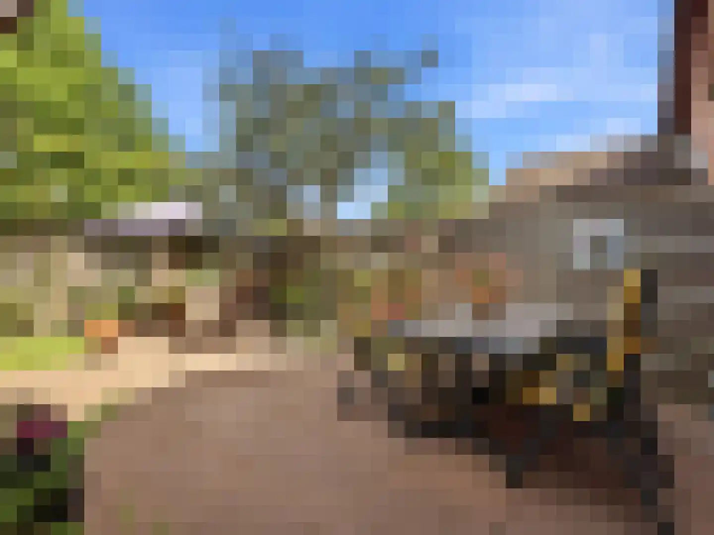 Stokebrand 361 Zutphen thumbnail 27