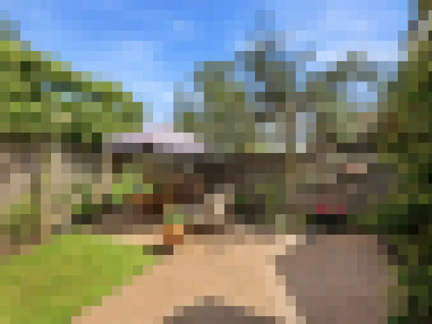 Stokebrand 361 Zutphen thumbnail 30