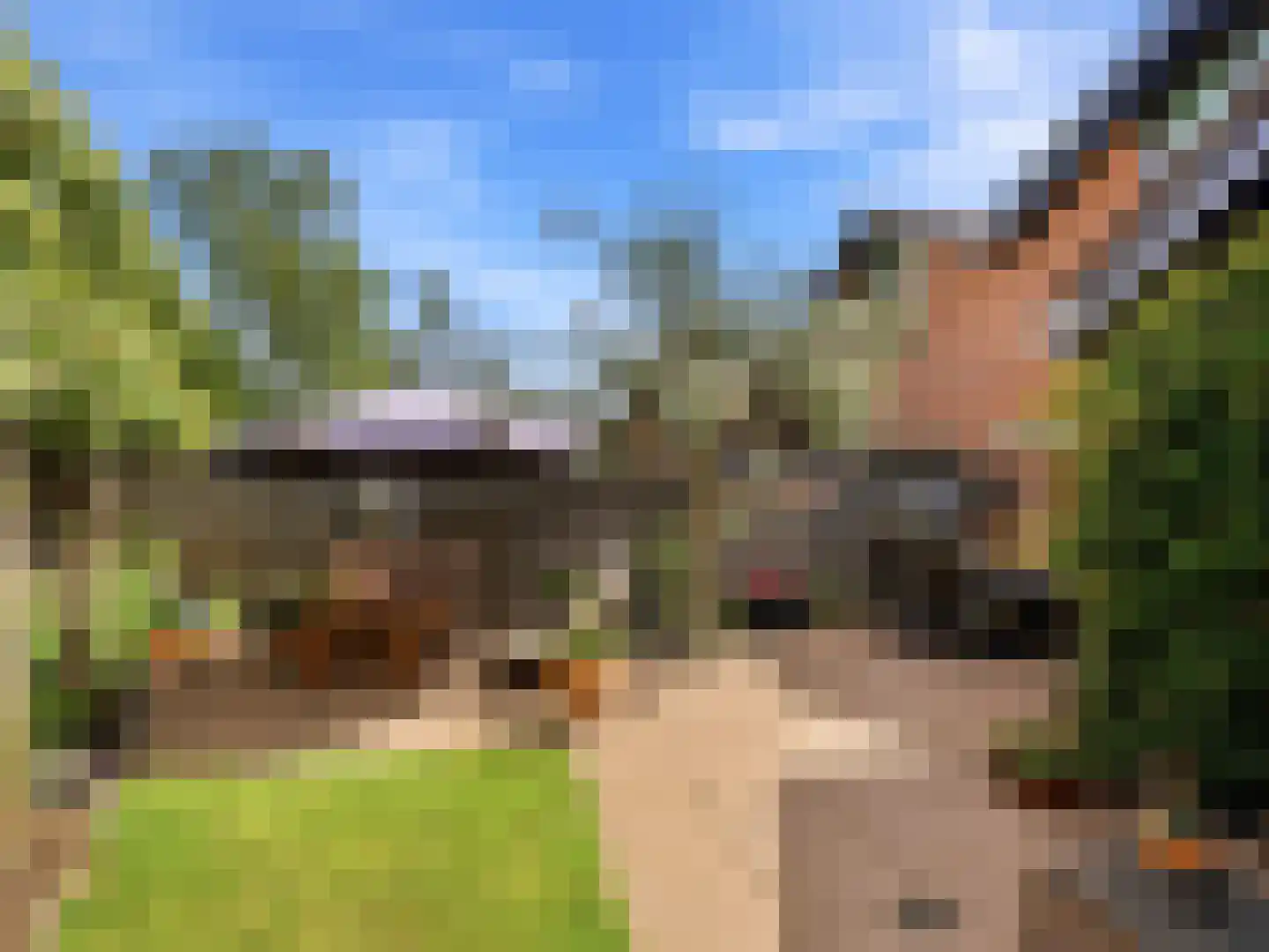 Stokebrand 361 Zutphen thumbnail 32
