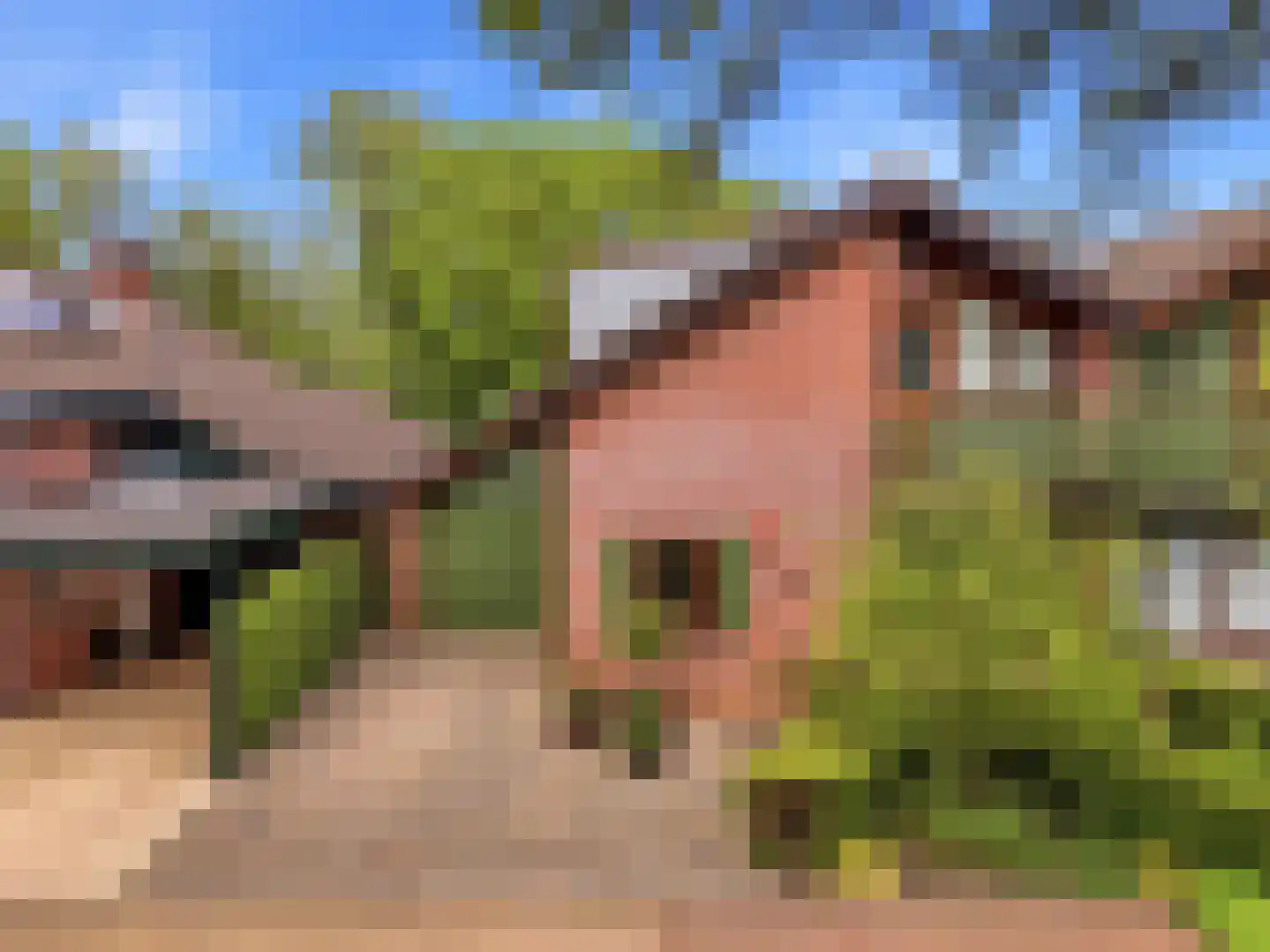 Stokebrand 361 Zutphen thumbnail 39