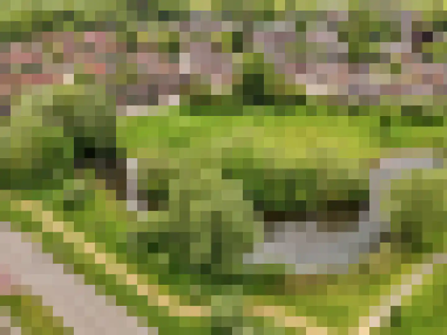 Stokebrand 361 Zutphen thumbnail 42