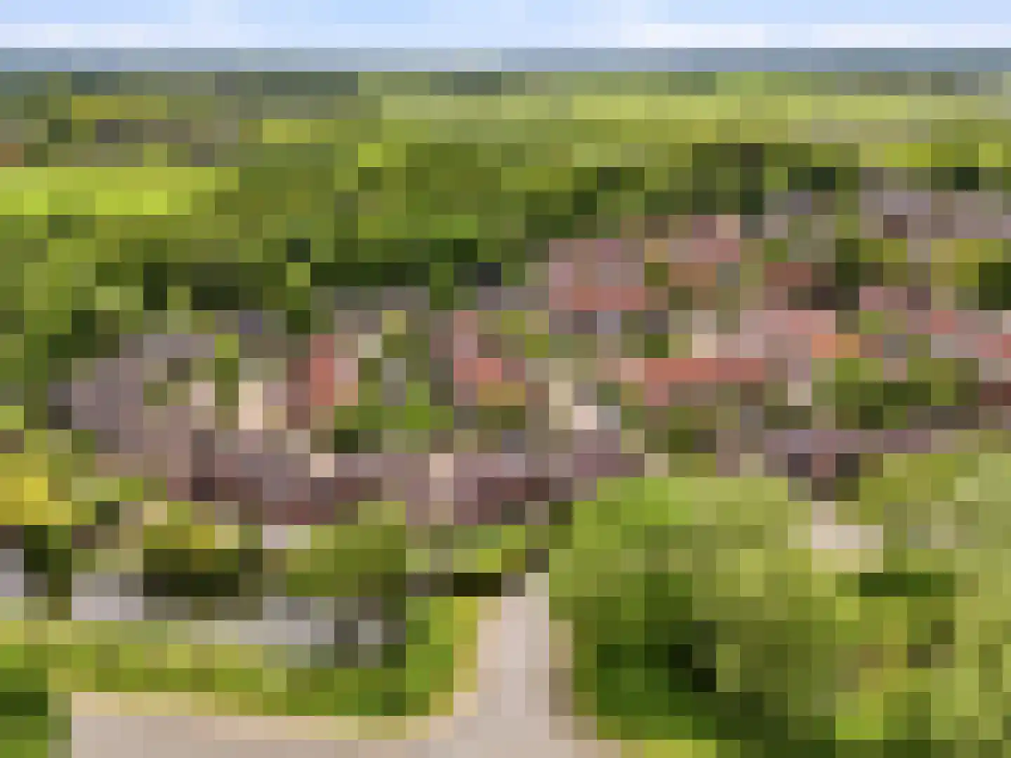 Stokebrand 361 Zutphen thumbnail 43
