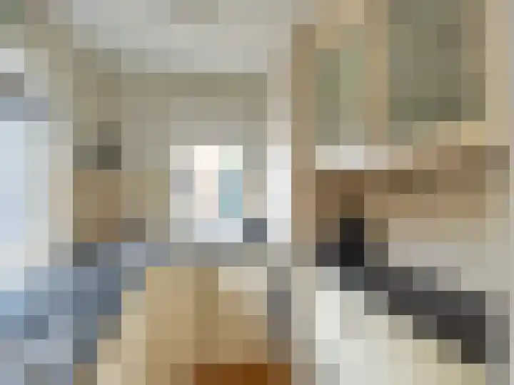 Stokebrand 369 Zutphen thumbnail 10