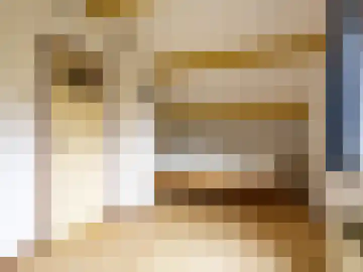 Stokebrand 369 Zutphen thumbnail 24