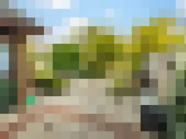 Stokebrand 369 Zutphen thumbnail 28