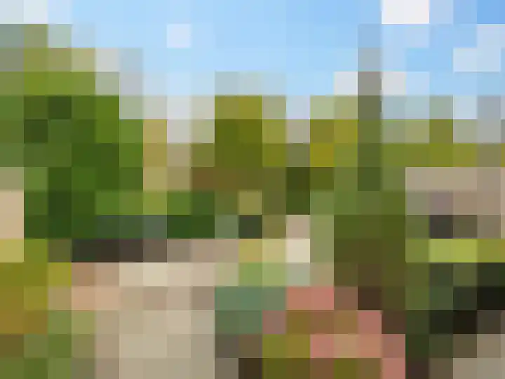 Stokebrand 369 Zutphen thumbnail 29