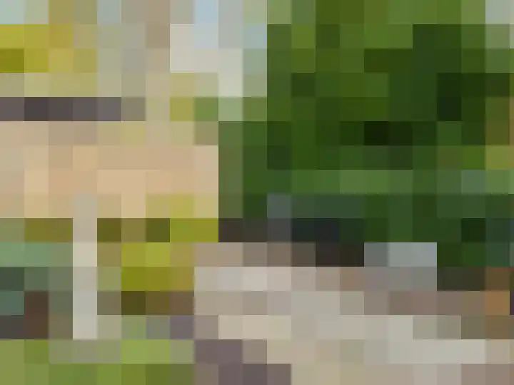 Stokebrand 369 Zutphen thumbnail 30