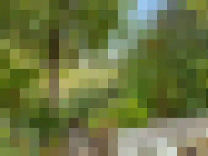 Stokebrand 369 Zutphen thumbnail 31