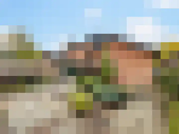 Stokebrand 369 Zutphen thumbnail 32