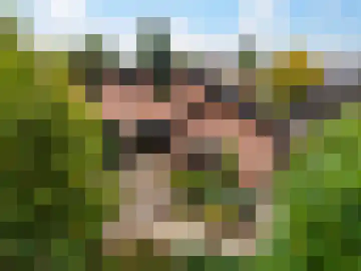 Stokebrand 369 Zutphen thumbnail 35