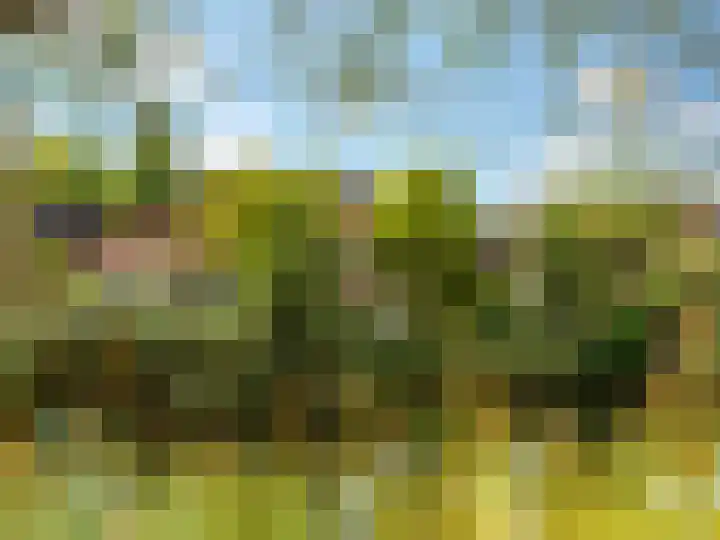 Stokebrand 369 Zutphen thumbnail 36