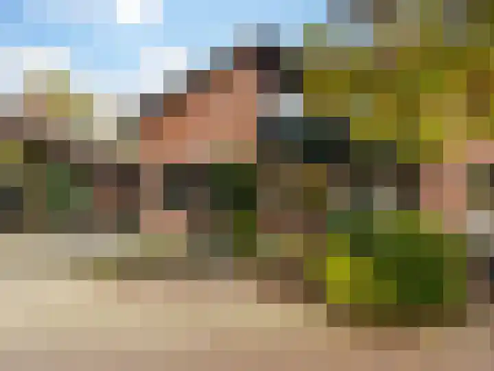 Stokebrand 369 Zutphen thumbnail 37