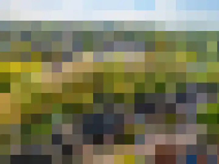 Stokebrand 369 Zutphen thumbnail 39