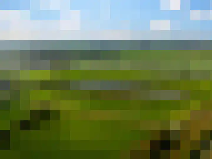 Stokebrand 369 Zutphen thumbnail 40