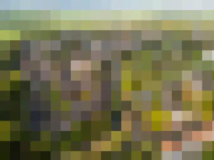 Stokebrand 369 Zutphen thumbnail 41
