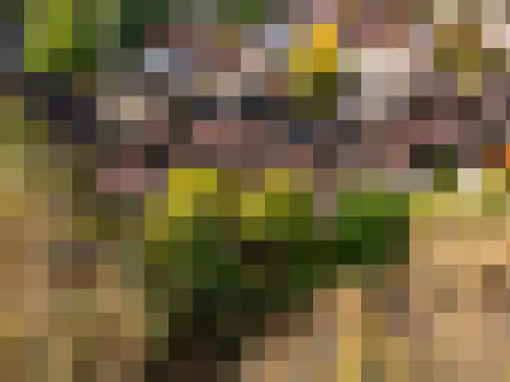 Stokebrand 369 Zutphen thumbnail 42