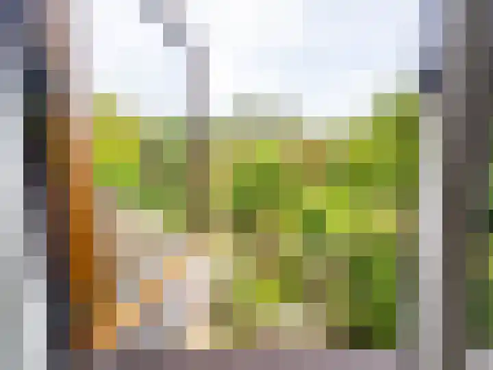 Stokebrand 373 Zutphen thumbnail 19