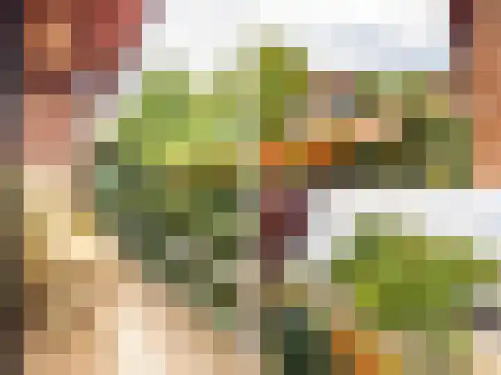 Stokebrand 373 Zutphen thumbnail 24