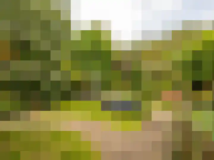 Stokebrand 373 Zutphen thumbnail 29