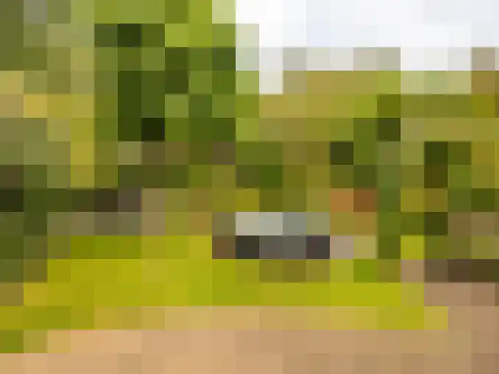 Stokebrand 373 Zutphen thumbnail 30