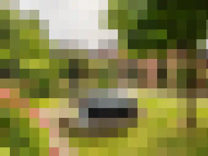 Stokebrand 373 Zutphen thumbnail 31