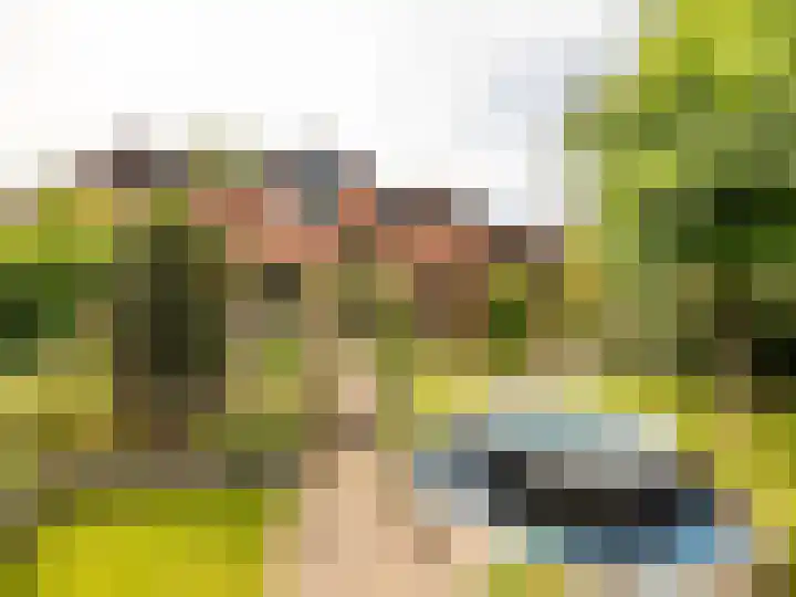 Stokebrand 373 Zutphen thumbnail 32
