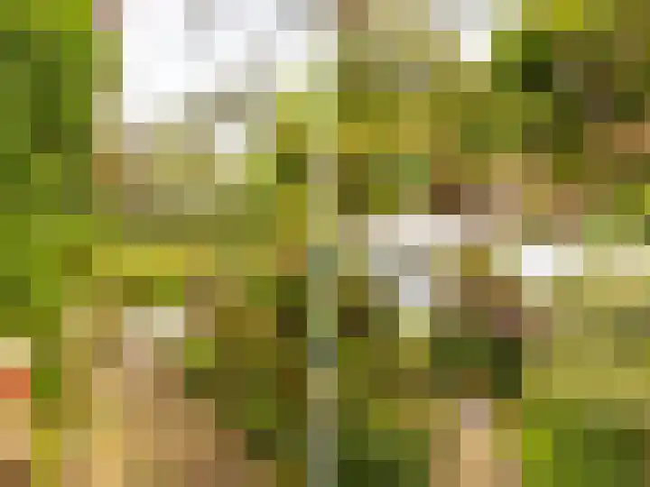 Stokebrand 373 Zutphen thumbnail 33