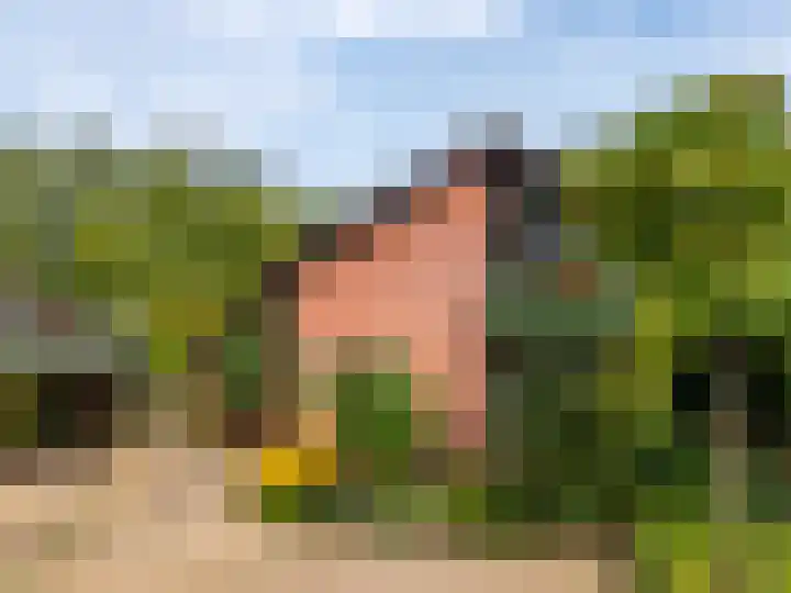 Stokebrand 373 Zutphen thumbnail 37