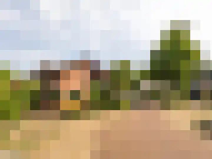 Stokebrand 373 Zutphen thumbnail 38