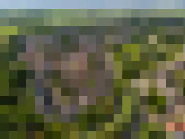 Stokebrand 373 Zutphen thumbnail 40