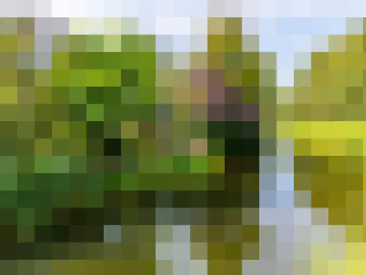 Stokebrand 373 Zutphen thumbnail 41
