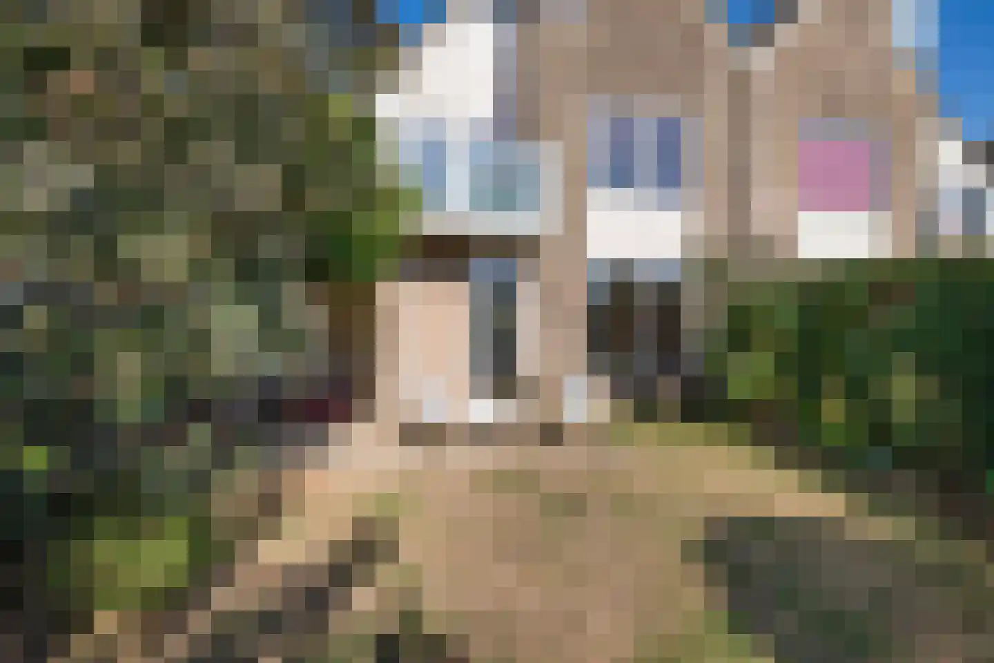 Stokebrand 506 Zutphen thumbnail 40