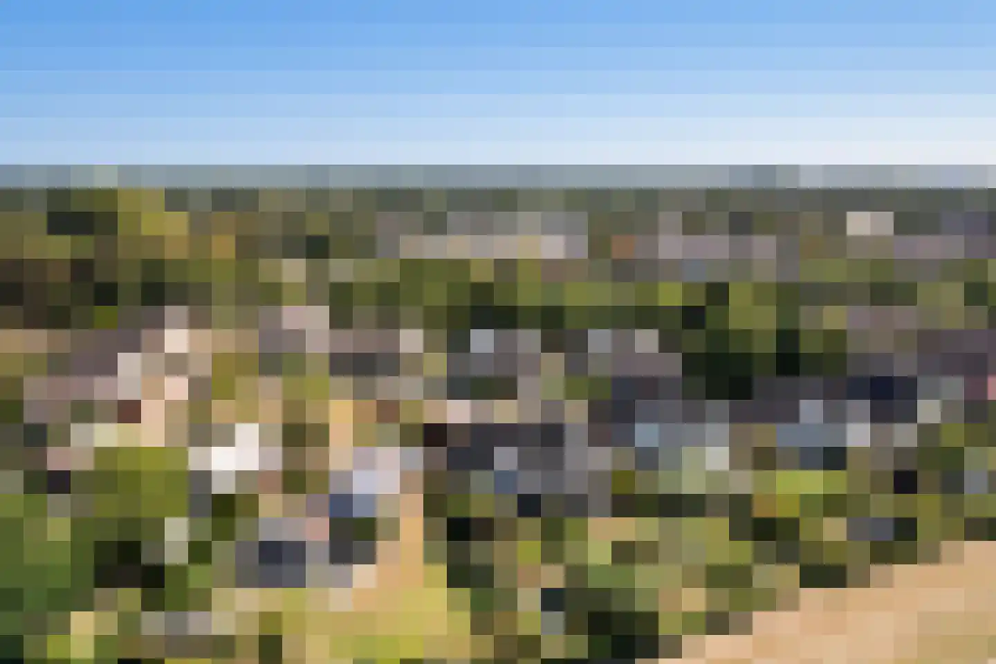 Stokebrand 506 Zutphen thumbnail 41