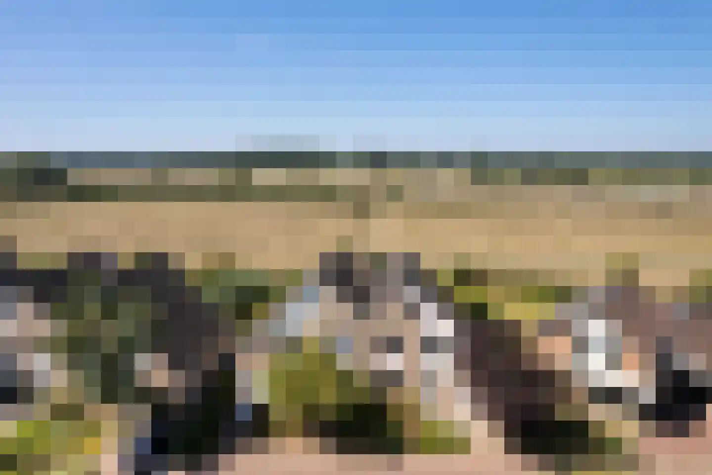 Stokebrand 506 Zutphen thumbnail 44