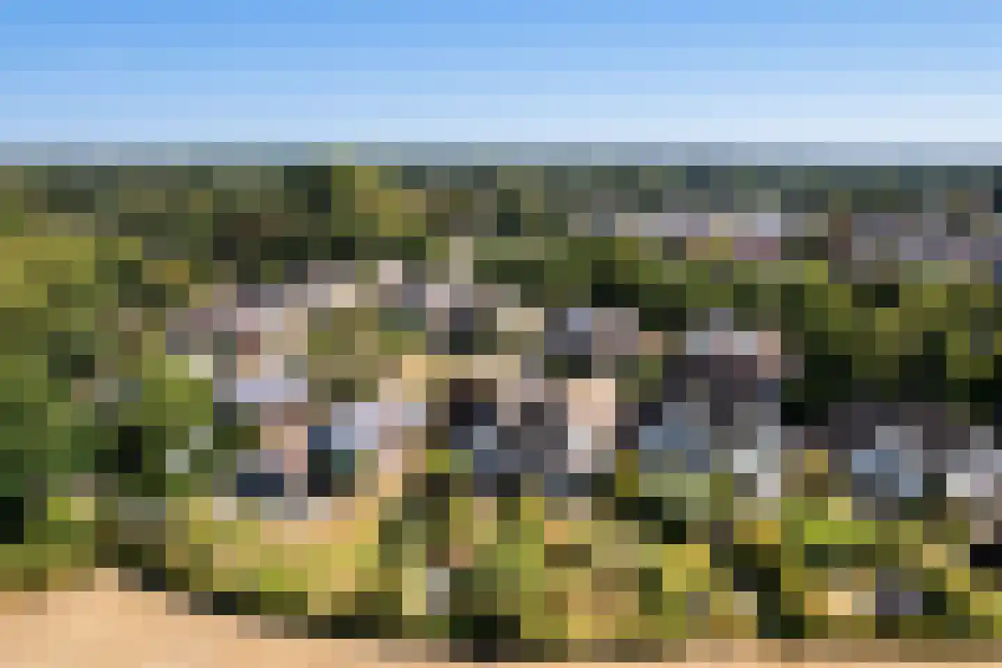 Stokebrand 506 Zutphen thumbnail 45