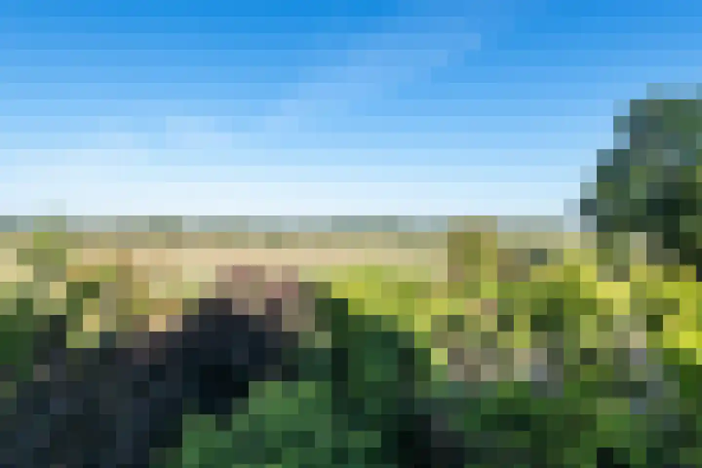 Stokebrand 506 Zutphen thumbnail 47