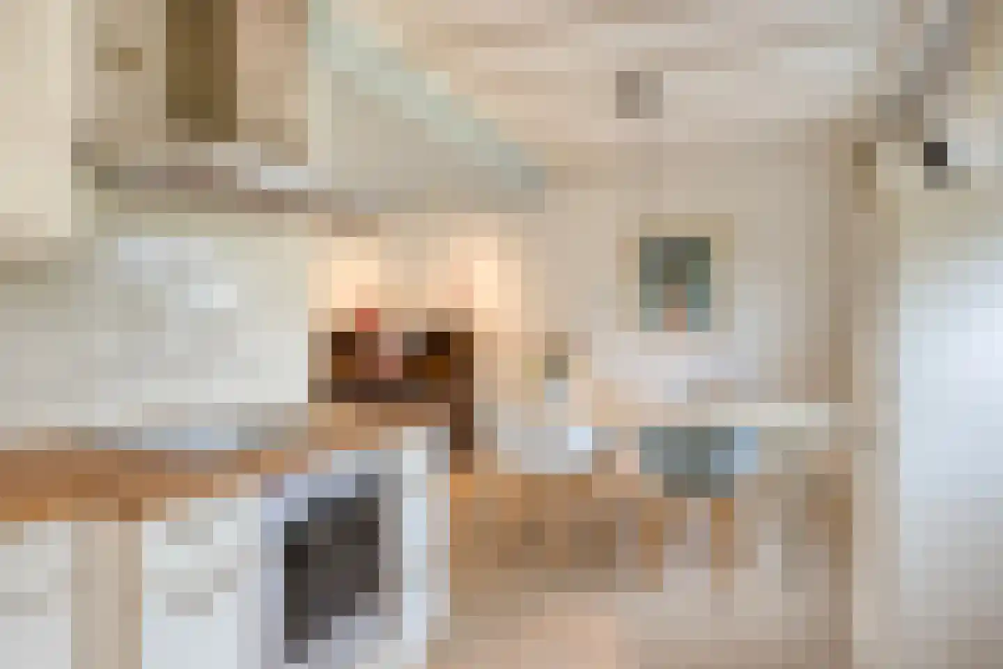 Stokebrand 528 Zutphen thumbnail 21