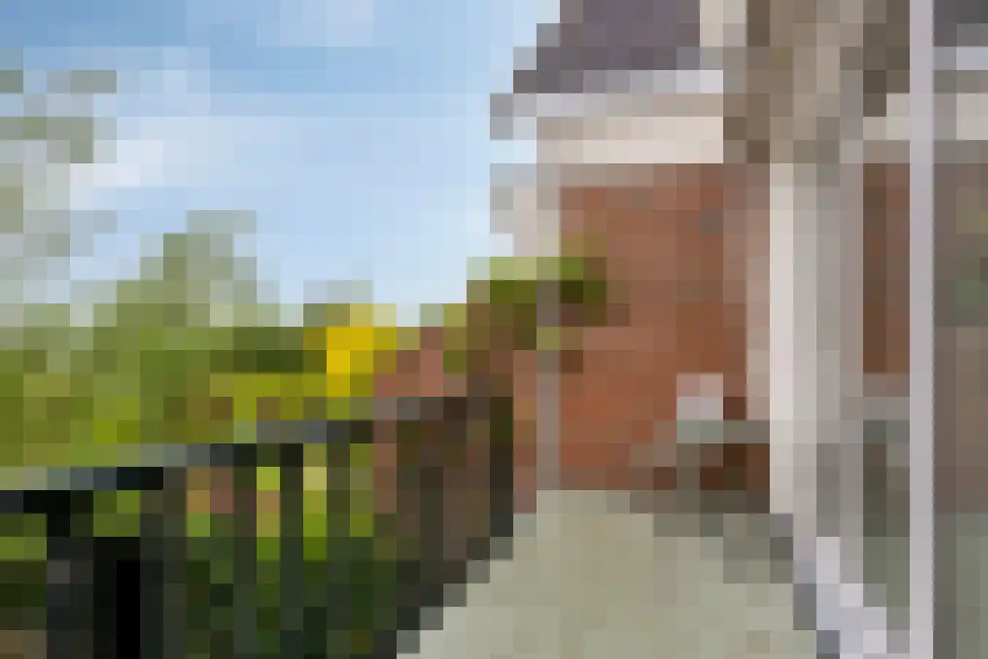 Stokebrand 528 Zutphen thumbnail 22