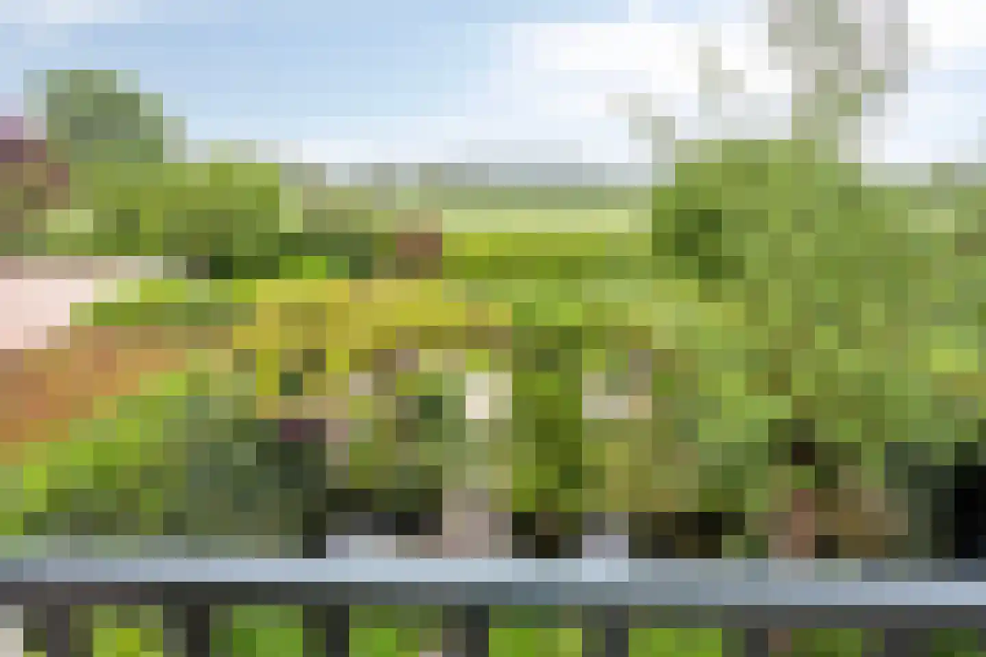 Stokebrand 528 Zutphen thumbnail 25