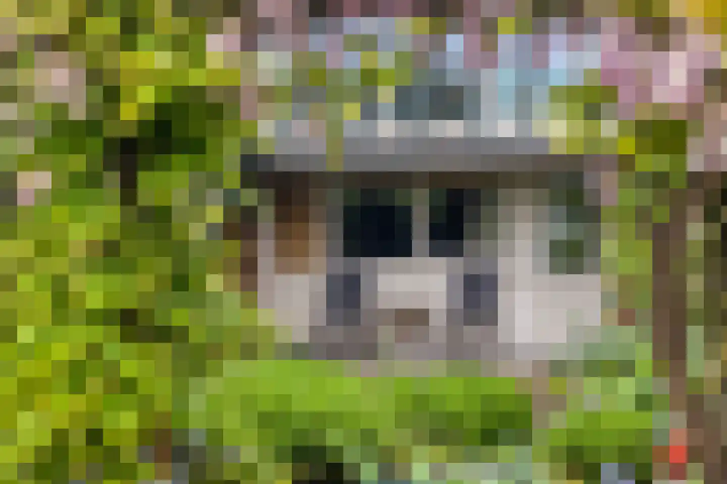 Stokebrand 528 Zutphen thumbnail 26