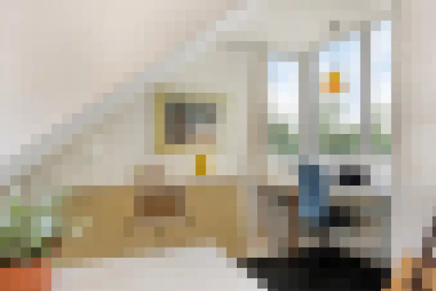 Stokebrand 528 Zutphen thumbnail 38