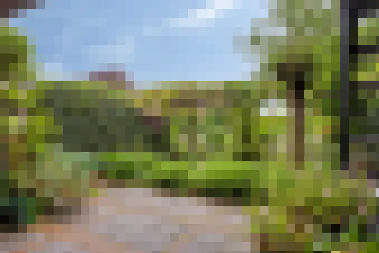 Stokebrand 528 Zutphen thumbnail 46