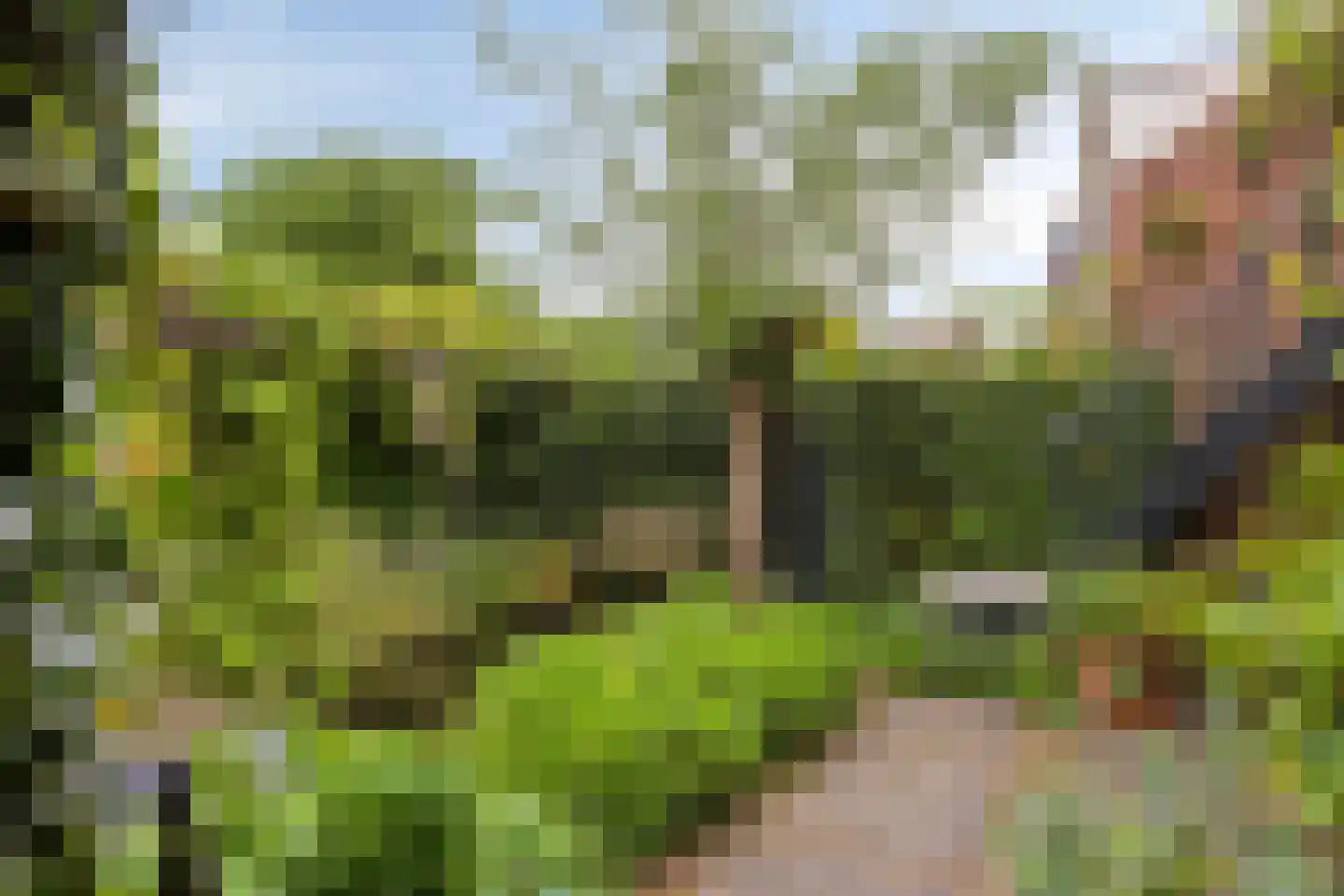 Stokebrand 528 Zutphen thumbnail 47